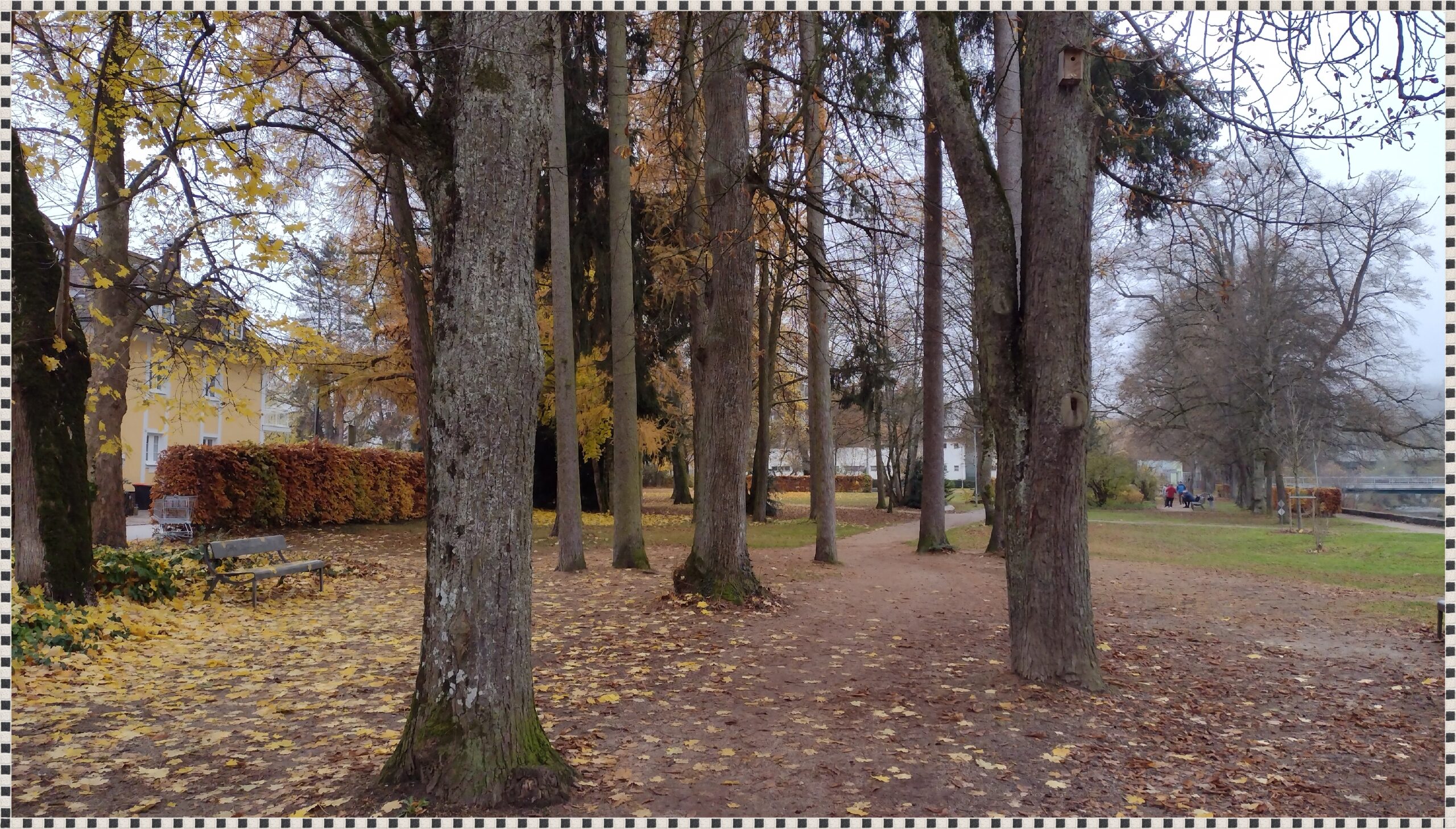 Stadtpark? Stadtpark!