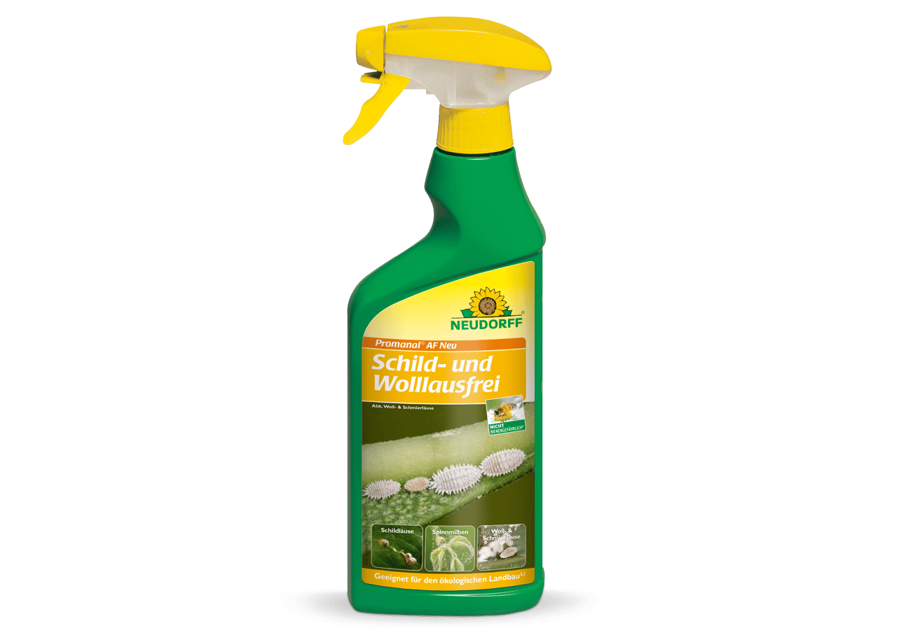 Schild-und Wolllausfrei
