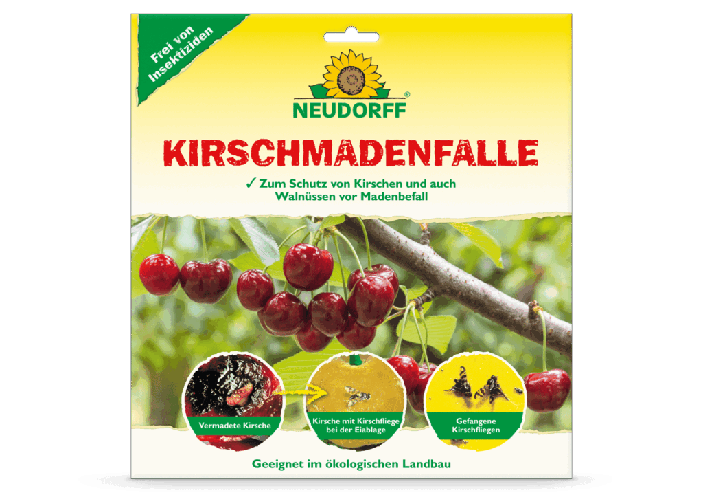 Kirschmadenfalle
