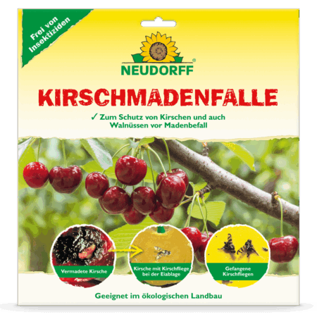 Kirschmadenfalle