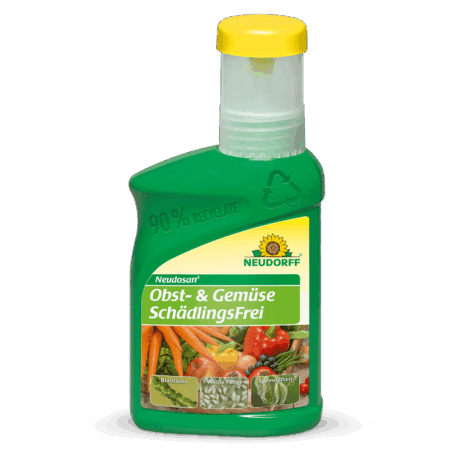 Obst und Gemüse Schädlingsfrei